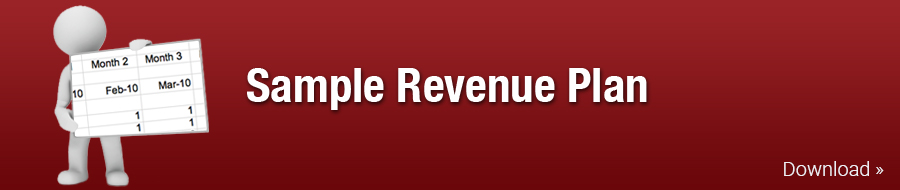 Sample Revenue Plan